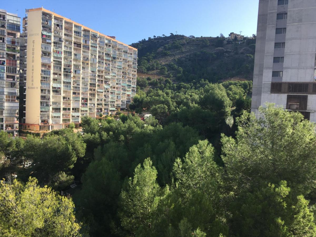 Appartement Apartamento Corazon De Monte Carlo à Benidorm Extérieur photo